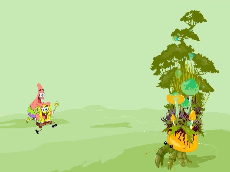 实验试管怎么拍片（试管需要照影吗）