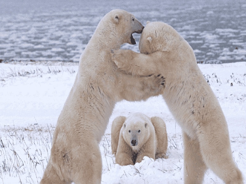 药粉装在试管里（促排卵试管成功）